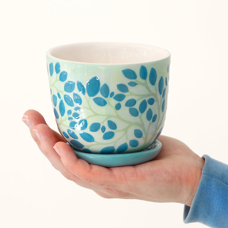 Pot "Canopée" + coupelle assortie