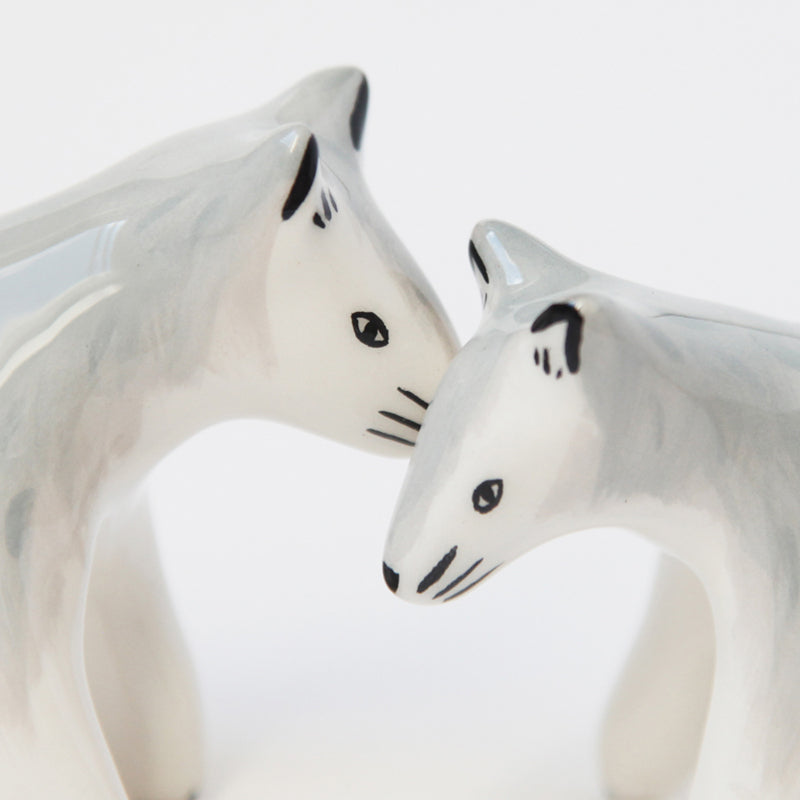 Loup gris