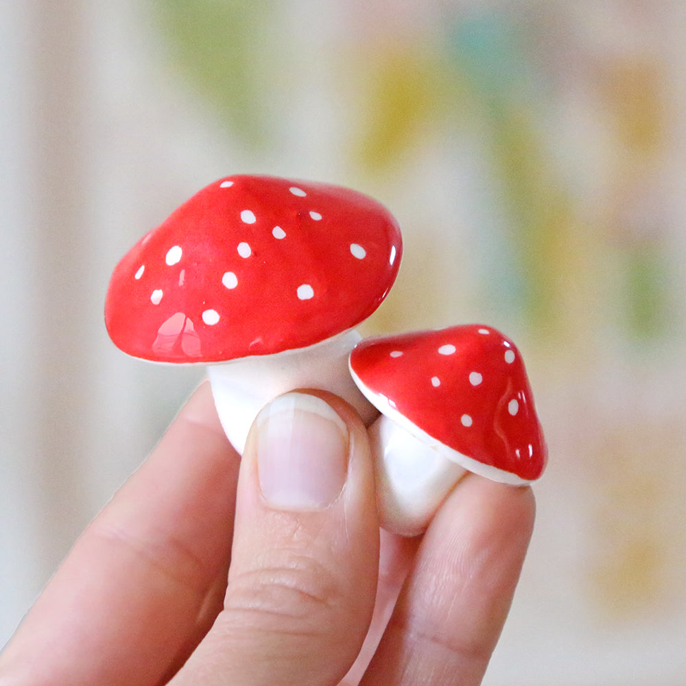 Duo de champignons