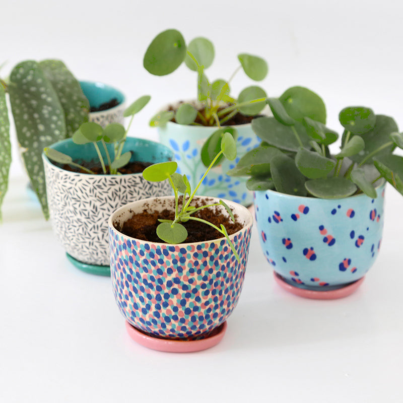 Pot "Carnaval" + coupelle assortie