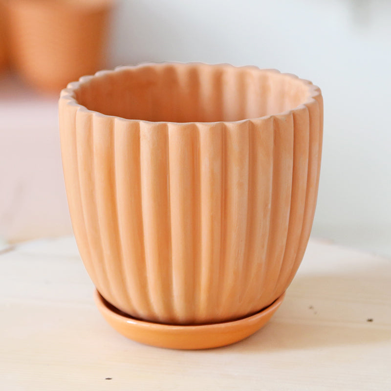 Grand pot terracotta "Tuli" + coupelle assortie