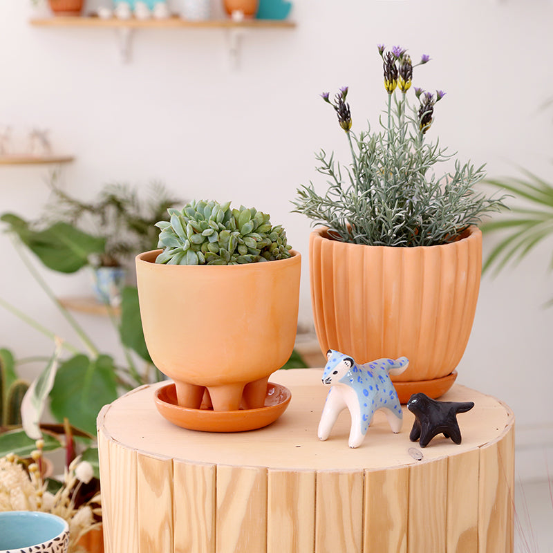 Grand pot terracotta "Tuli" + coupelle assortie