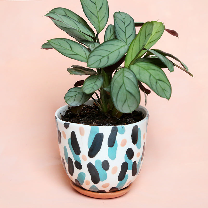 Pot "Danse bleue et rose" + coupelle assortie